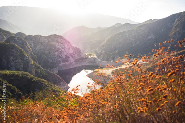 Obraz Tujunga Overlook Dam