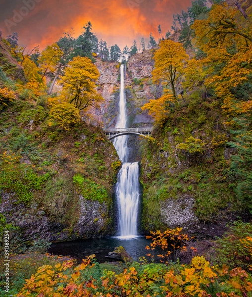 Obraz Fall at Multnomah Falls