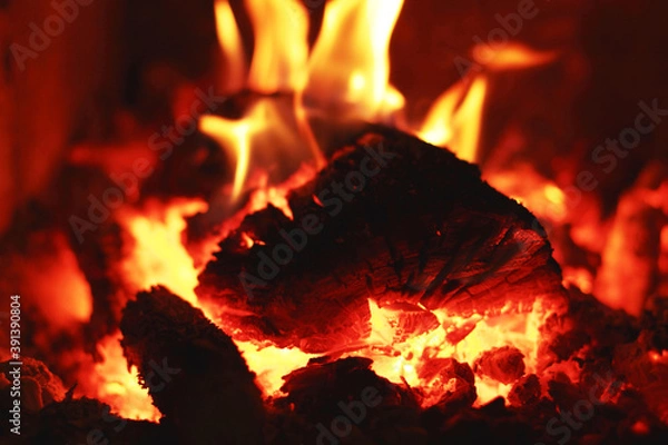 Obraz Burning fire wood. Background  Сloseup