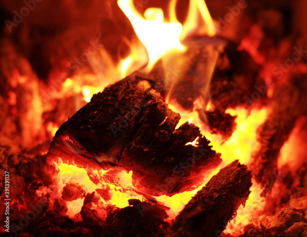 Obraz Burning fire wood. Background