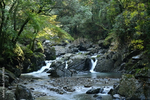 Fototapeta 高槻摂津峡渓谷の夫婦岩