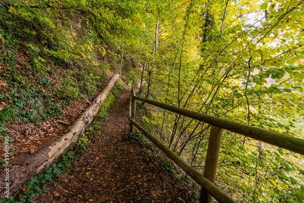 Fototapeta Fantastic autumn hike along the Aachtobel to the Hohenbodman observation tower