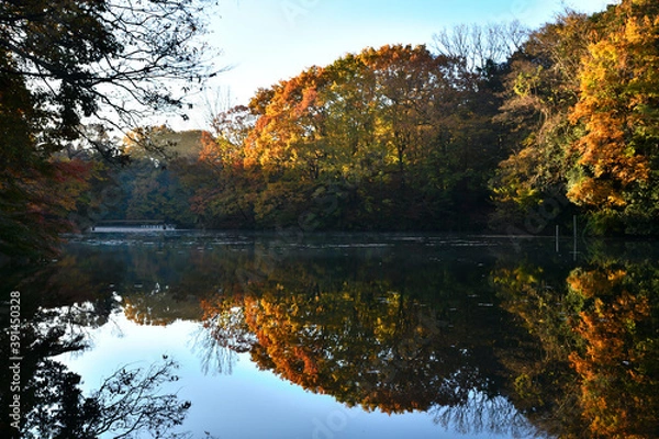 Obraz 震生湖の紅葉