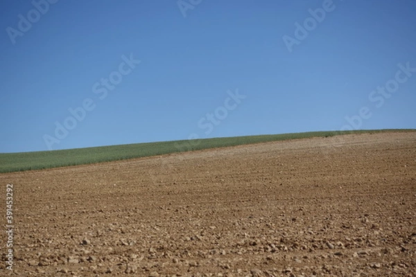 Fototapeta 土と緑と青空、３色でデザインされた自然の風景