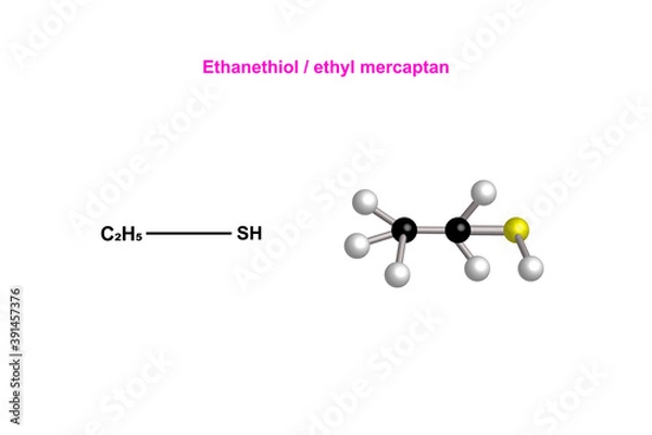 Fototapeta chemical structure of ethanethiol / ethyl mercaptan vector design illustration