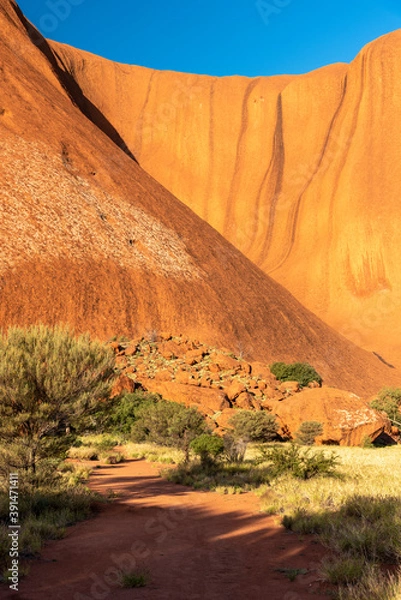 Obraz red rock in the desert