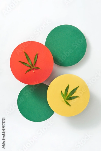 Fototapeta Multicolored round cards with marijuana leaves on a light grey background.