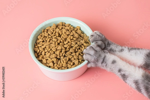 Fototapeta Cat dry food in a bowl and paws on a pink background. The concept of a diet for pets, the choice of food for cats. Copy space, minimalism.