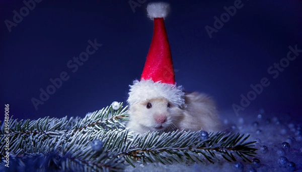 Fototapeta Cute Christmas hamster in the snow and with a Christmas tree