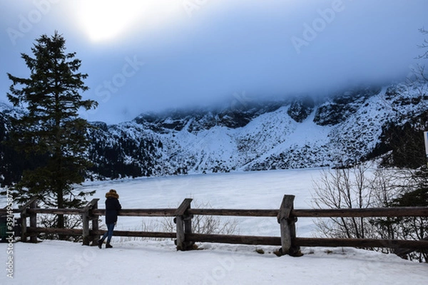 Obraz winter in the mountains