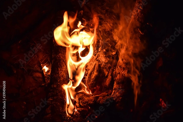 Fototapeta fire in the fireplace