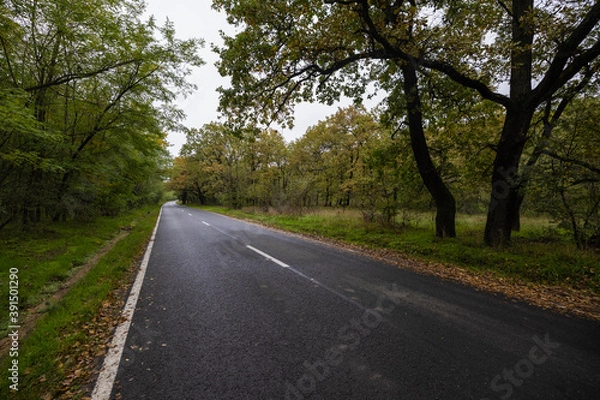 Fototapeta a beautiful autumn landscape in the park on an October day