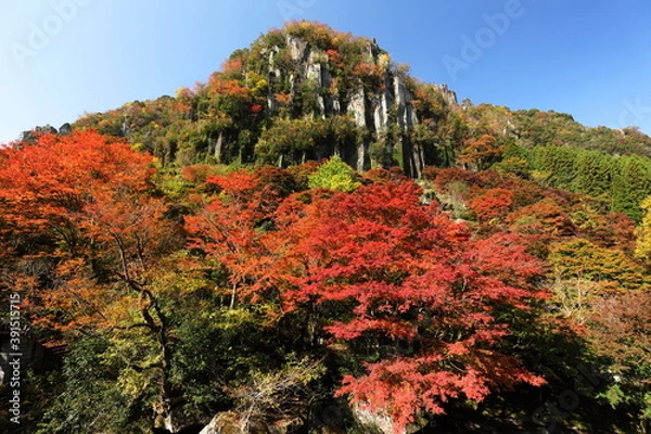 Obraz 耶馬渓の紅葉