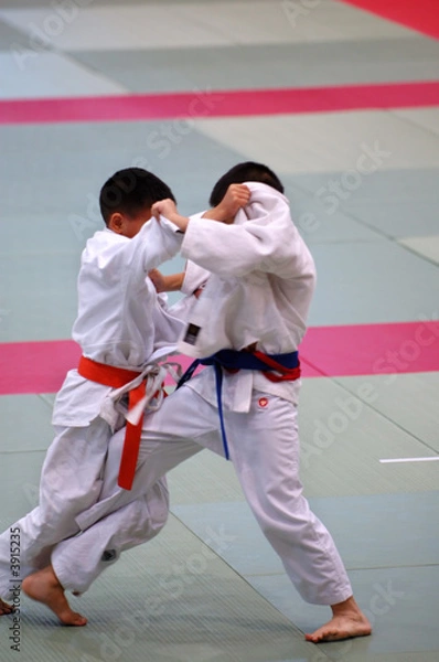 Obraz Karate kids