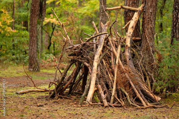 Obraz A kind of simple hut made by children out of wood and branches from the forest in the autumn forest in Germany