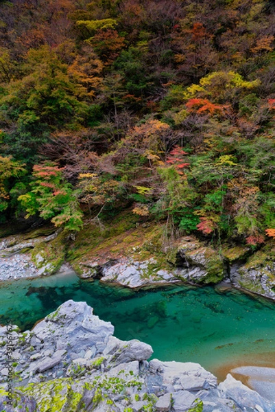 Fototapeta 徳島県三好市祖谷の紅葉風景