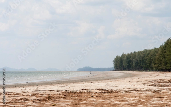 Obraz the beach and the forest