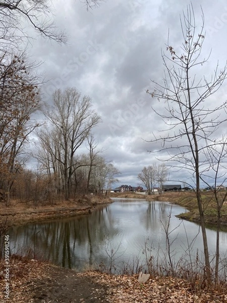 Obraz trees on the river