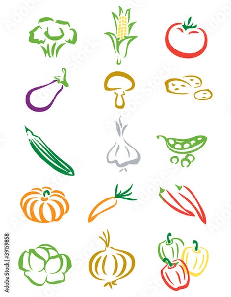 Obraz Vegetable Illustrations