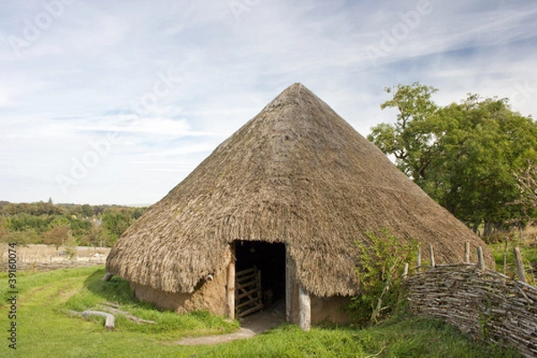 Obraz Iron Age Hut