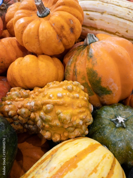 Fototapeta assorted pumpkins