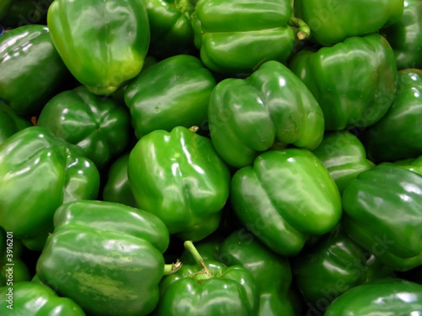 Fototapeta Etale de poivrons verts