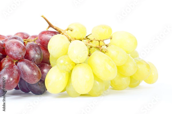 Fototapeta Weintrauben