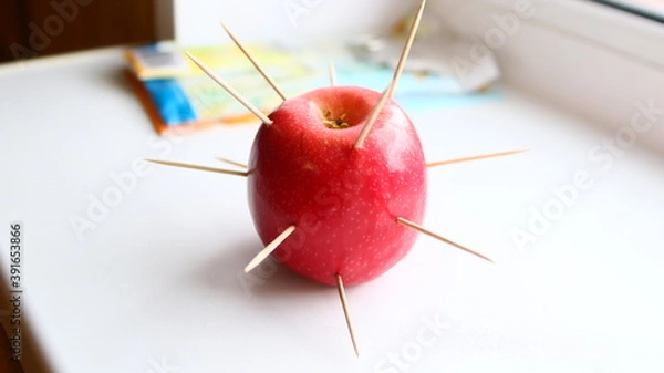 Fototapeta red apple with a needle