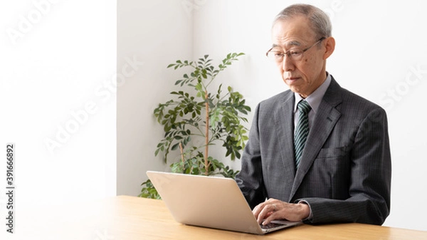 Fototapeta パソコンを使って仕事をするシニアビジネスマン