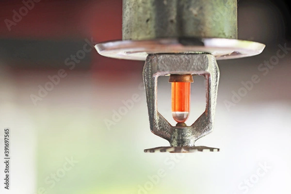 Obraz Fire sprinkler head on the ceiling.