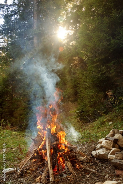 Obraz Camp fire in the forest.
