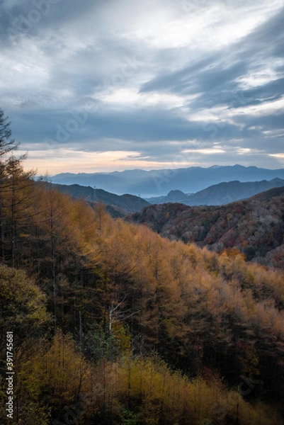 Fototapeta 紅葉した山々