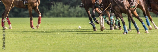Fototapeta Playing equestrian polo. There are many horse legs and a group of riders in attack with a hammer.