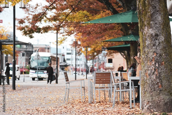 Obraz 秋のオープンテラスカフェ