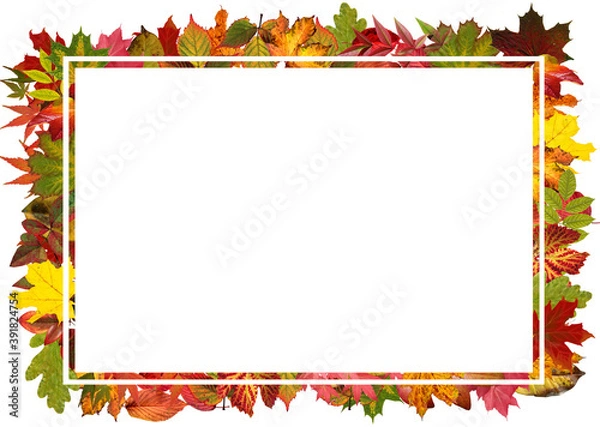 Obraz Autumn photo frames Made of autumn leaves