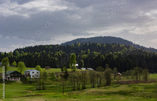 Obraz landscape with mountains and trees
