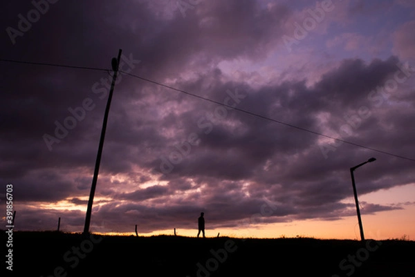 Obraz power line at sunset