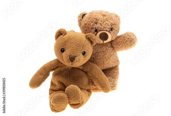 Obraz soft toy bear isolated
