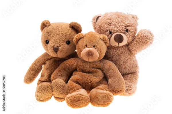 Obraz soft toy bear isolated