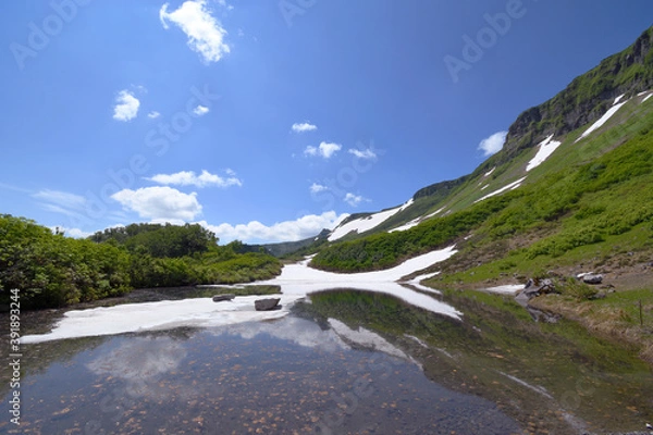 Fototapeta 夏の大雪高原沼（北海道・大雪山）
