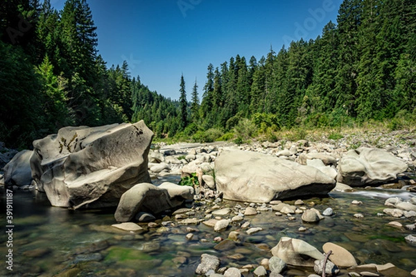 Fototapeta HDR nature