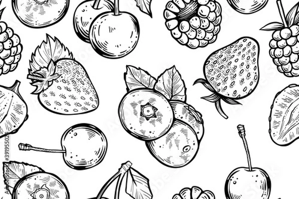 Obraz seamless pattern of hand drawn vector various berries