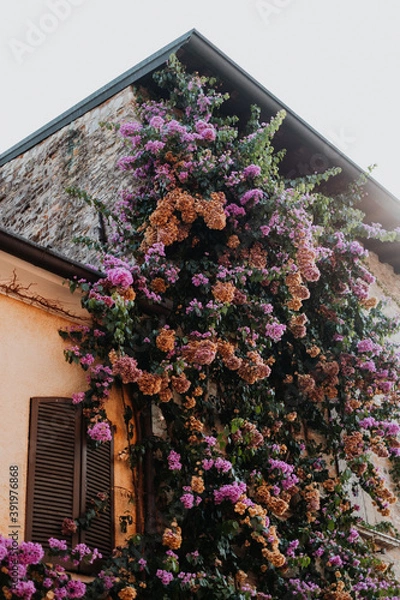 Obraz Gardasee Sirmione