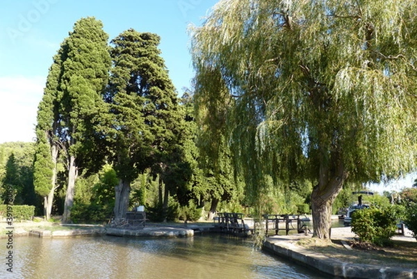 Fototapeta Canal du Midi
