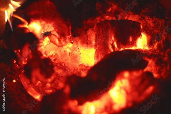 Obraz Burning fire wood. Background