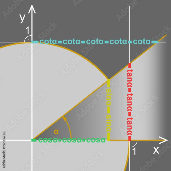 Fototapeta Trigonometric circle. Presentation of functions sine, cosine, tangent and cotangent on the trigonometric circle.