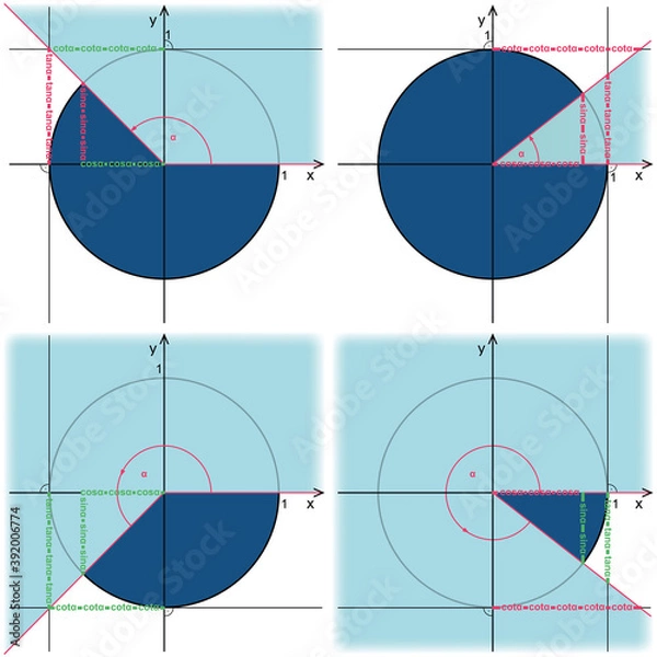 Fototapeta Trigonometric circle. Presentation of functions sine, cosine, tangent and cotangent on the trigonometric circle.