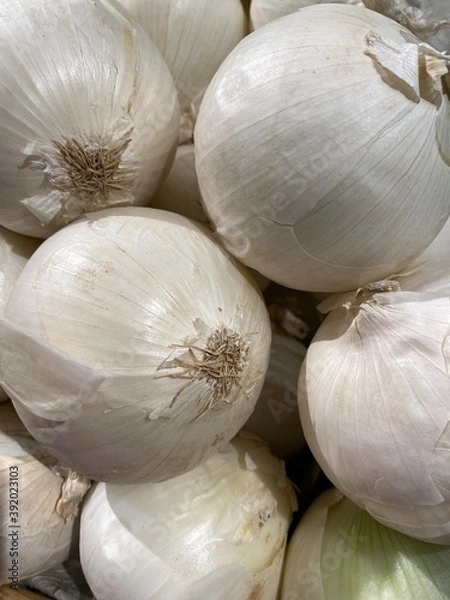 Obraz White Onions on a Display