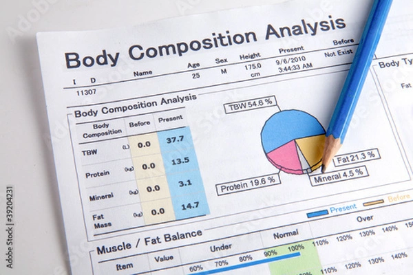 Fototapeta Analysis of body composition.