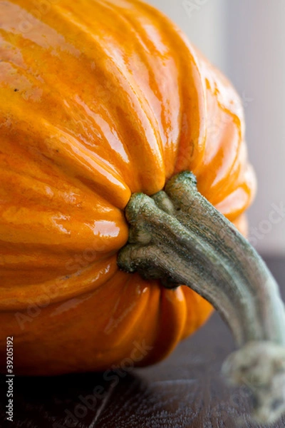 Fototapeta Big pumpkin